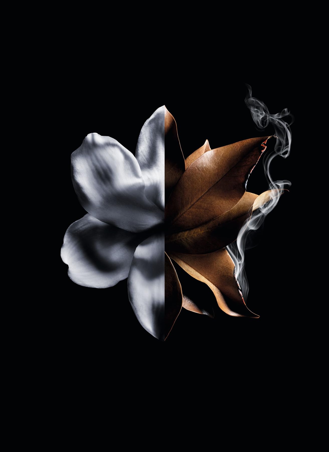 Linterdit Absolu Intense by Givenchy for Women - 2.7 oz EDP Spray