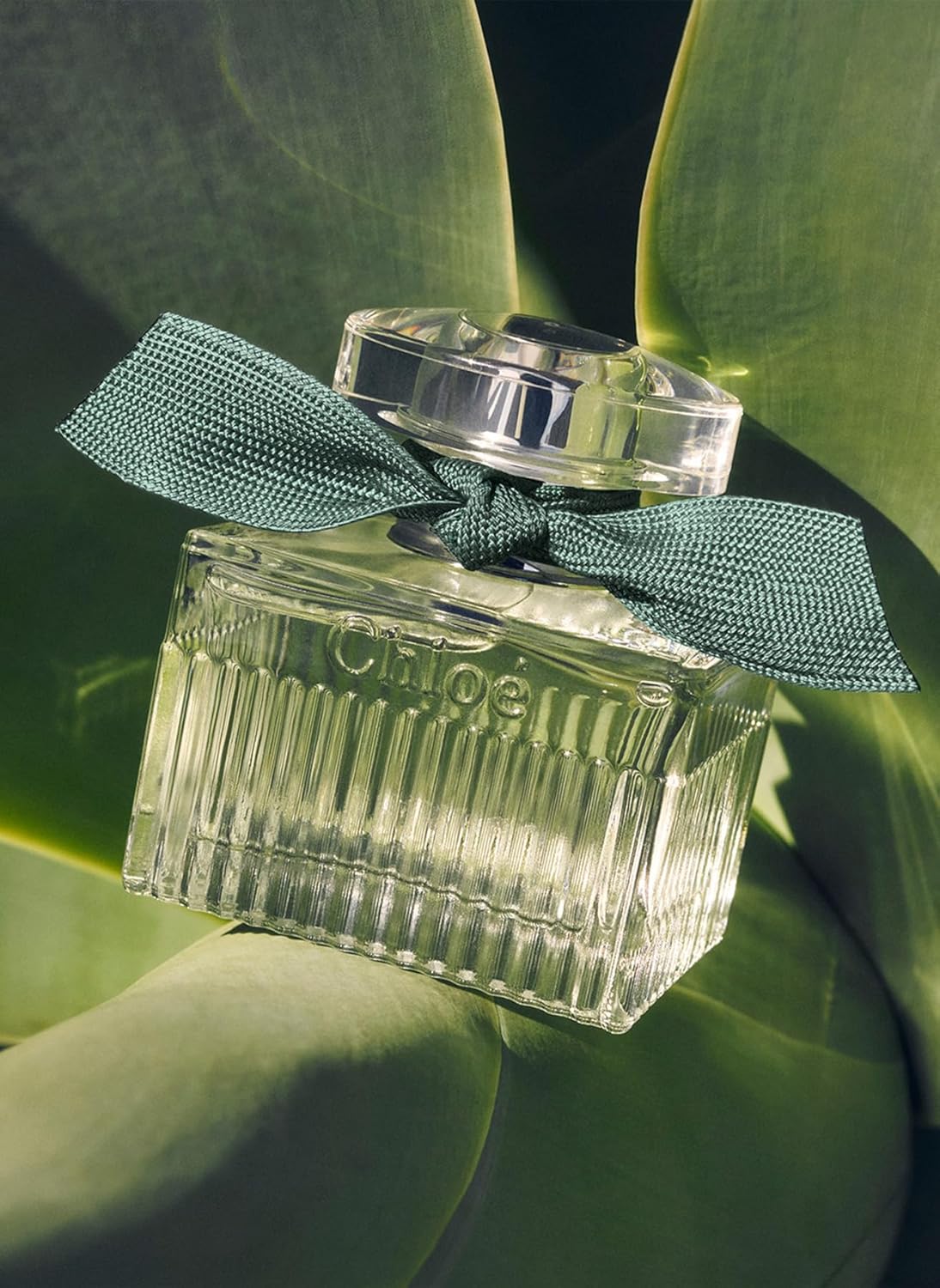 Chloé Rose Naturelle Intense Eau de Parfum for Women 30ml