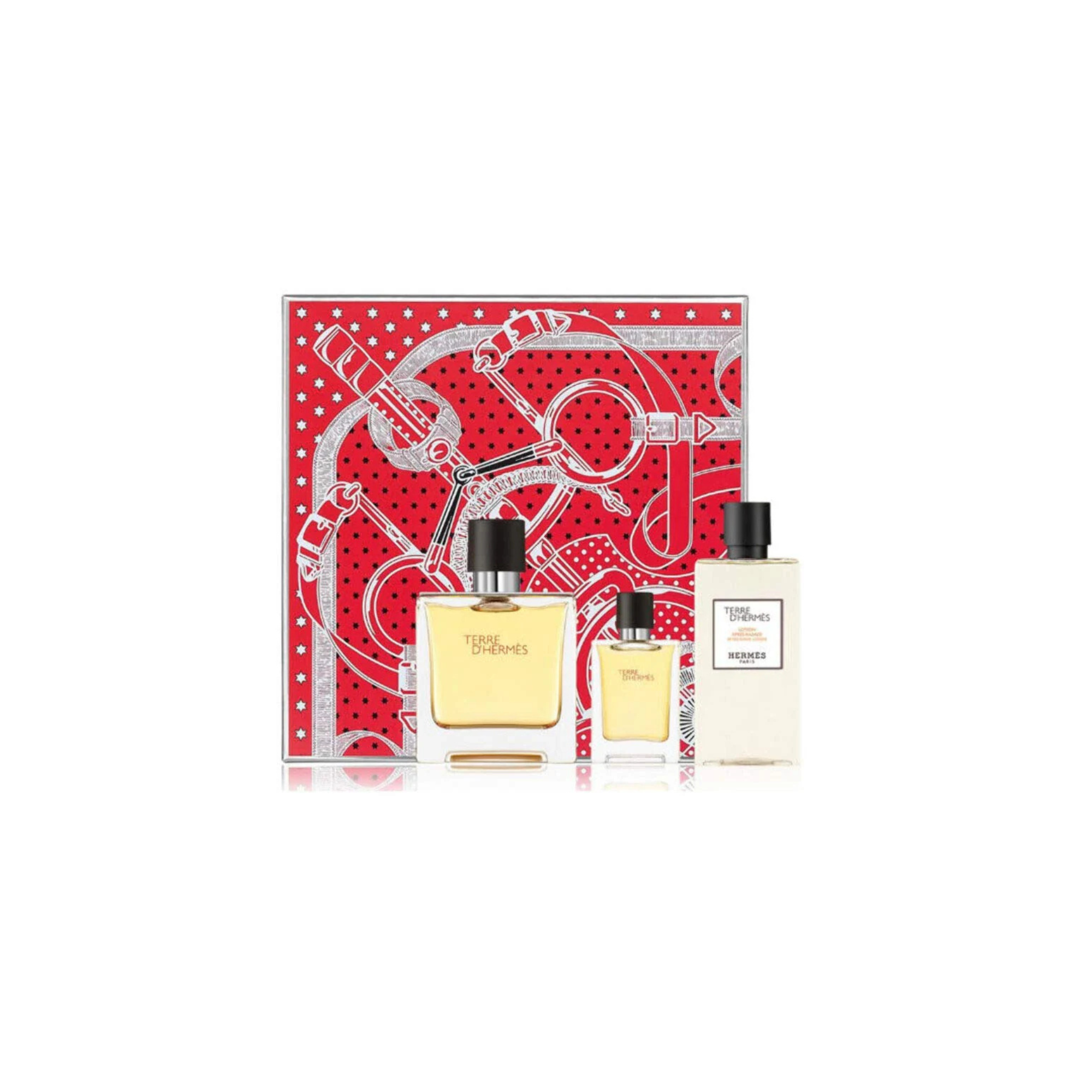 Hermès Terre d’Hermès Pure Perfume Gift Set
